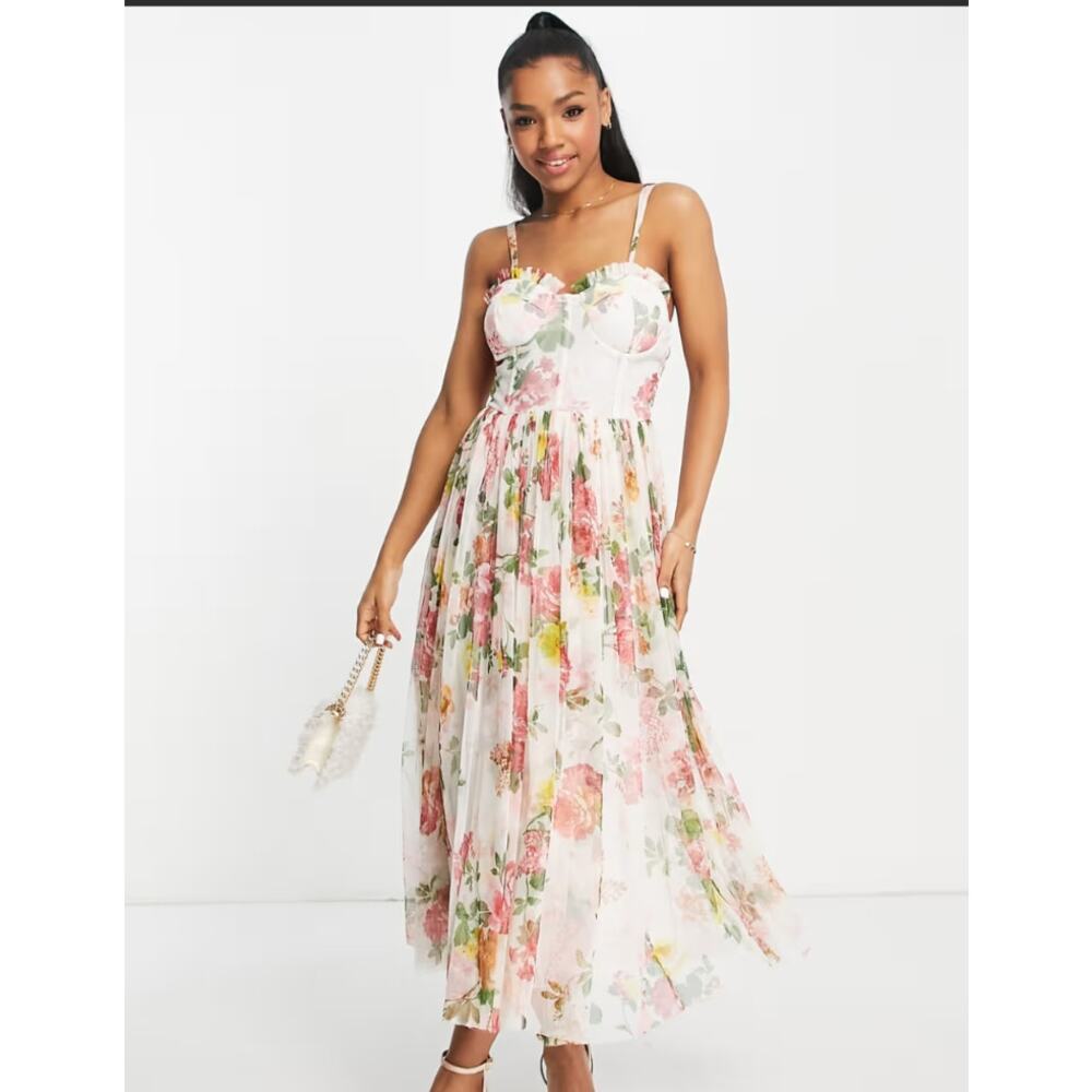 Lace and Beads Corset Tulle Midi Roses Tea Dress